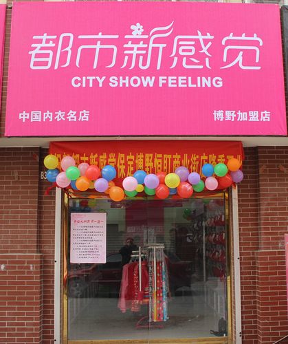 都市新感觉内衣加盟多少钱？全面解析创业新