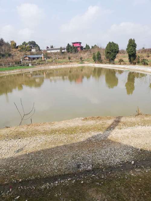 水域加盟费多少钱_水域加盟费低至16.6万元_水域加盟怎么样_解锁鱼塘新商机：如何将这片水域变成财富源泉？_加盟星百度招商加盟服务平台