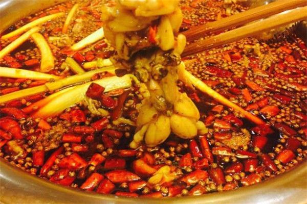 开一家蜀口令重庆美蛙火锅加盟费多少?加盟怎么样?