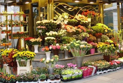 鲜花店,水果店与便利店:哪个创业机遇更赚钱?