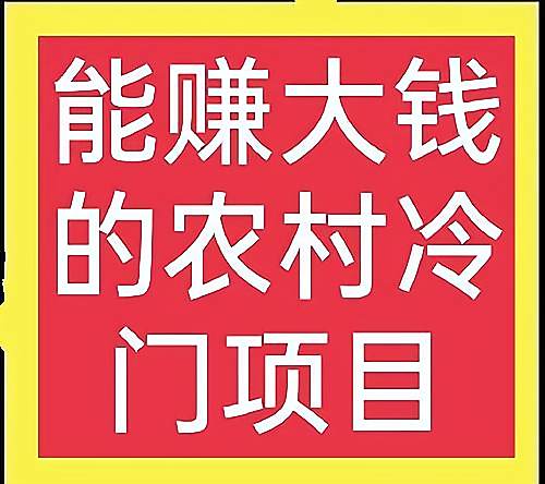 创业致富门路(致富门路创业项目)