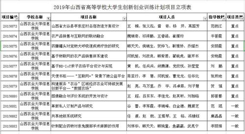 互联网+项目分析与大创项目申报准备(互联网+大学生创新创业大赛项目计划书怎么写)