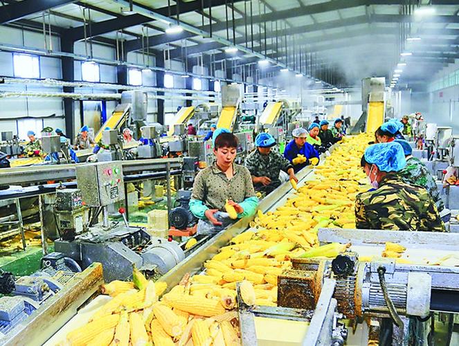 加工什么比较挣钱=加工什么比较挣钱不愁销路