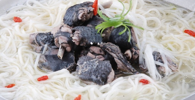 大尾巴猫鱼面投资费用/加盟费11.1万起