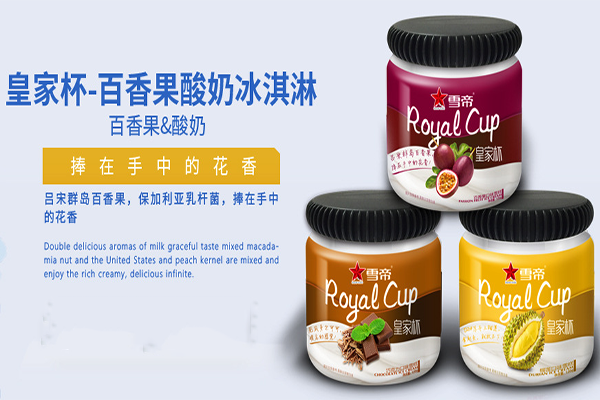 6万元_雪帝冰淇淋加盟怎么样_加盟雪帝冰淇淋需要什么条件?