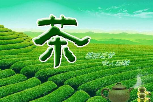 绿源茶业