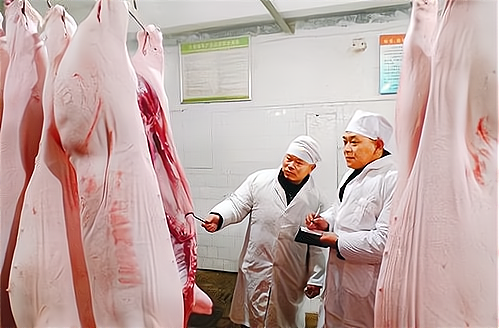 专业指导:如何投资建设羊皮深加工厂