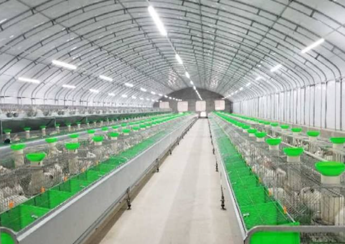 未来10大暴利养殖项目推荐：把握养殖业的黄金十年，创业加盟正当时_加盟星百度招商加盟服务平台