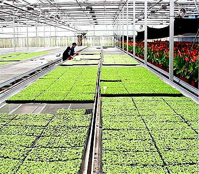 “种植业人工成本利润率高达7.2%，农业创业加盟迎来黄金期！”_加盟星百度招商加盟服务平台