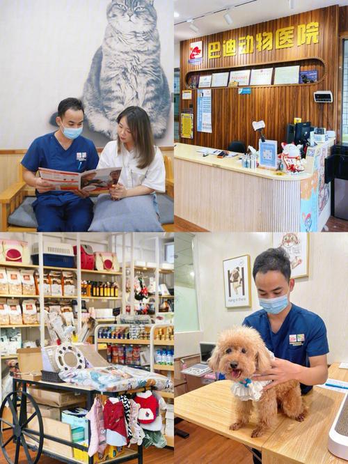 爬宠店成本解析：低成本创业，高收入前景_加盟星百度招商加盟服务平台