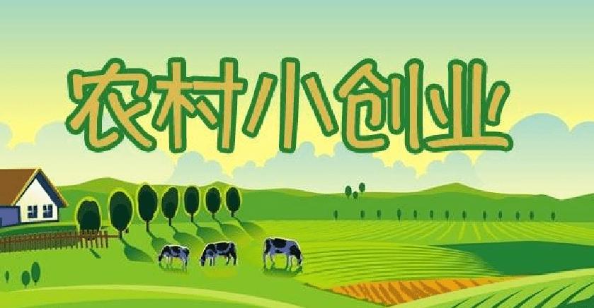 8个农村创业致富项目名称(8个农村创业致富项目名称是什么)
