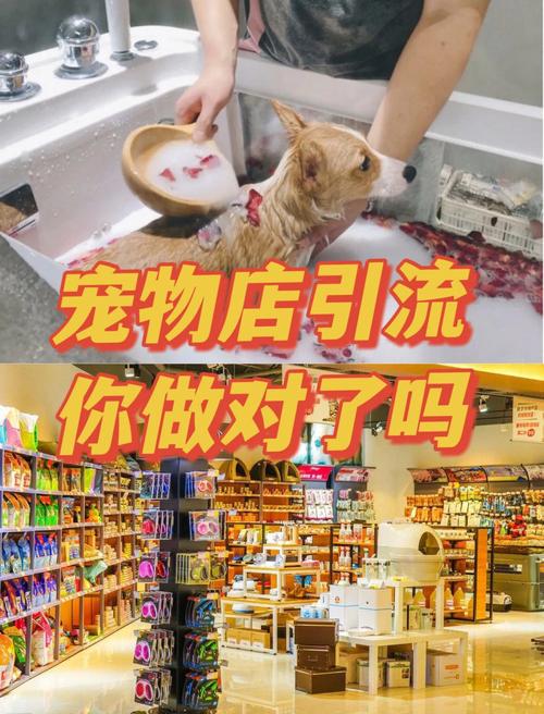 开狗咖店预算多少？揭秘宠物咖啡馆的创业成本与盈利之道_加盟星百度招商加盟服务平台