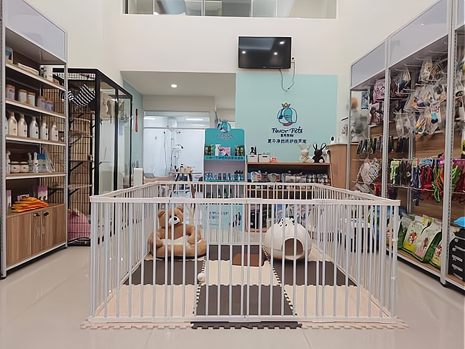 北京宠物用品店观察：从批发供应链到零售终端的专业化进阶