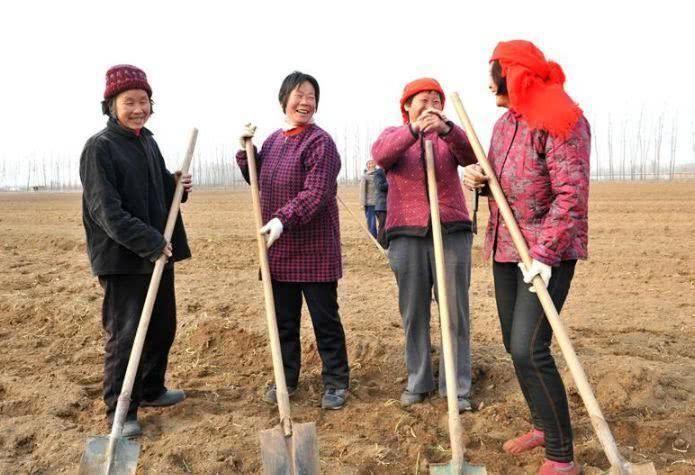 农村种什么东西最赚钱(农村种植什么赚钱快不愁卖)