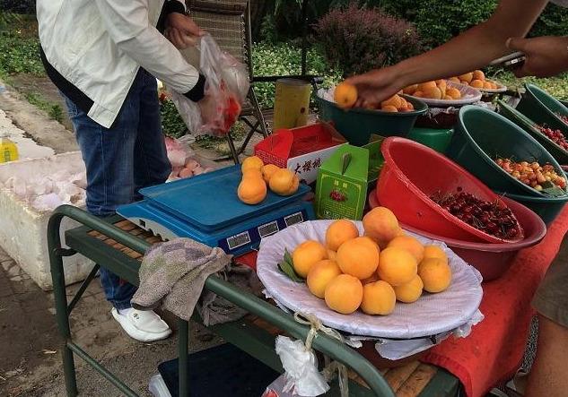 关于致富项目小本生意视频大全最新的信息