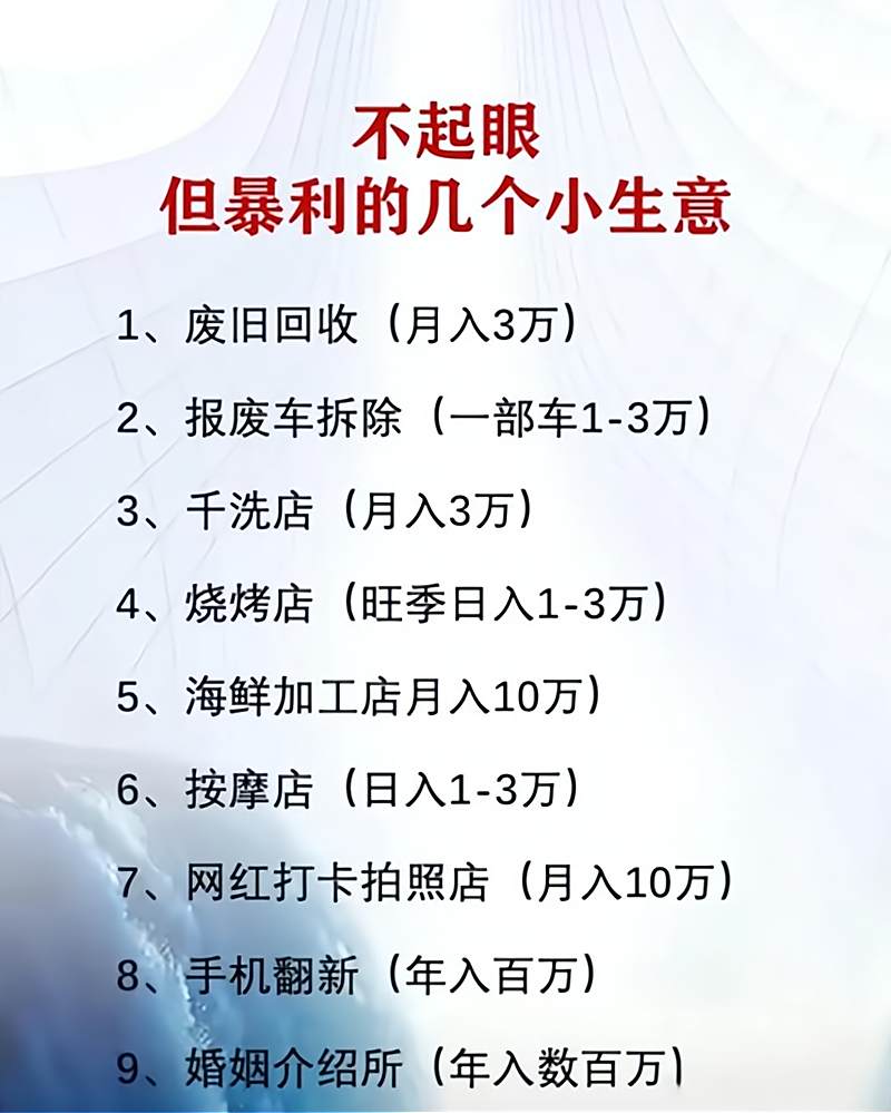 十万内创业项目怎么做的(10万内创业做什么比较好?)