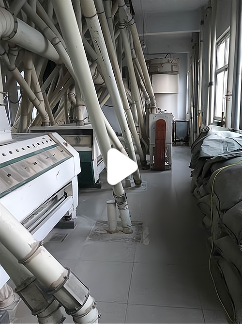 想在家弄台机器开个小加工厂(想在家弄台机器开个小加工厂可以吗)