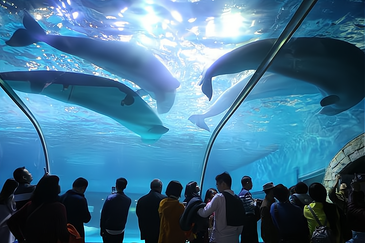 创业者必看!舟山海洋科技馆的商业价值与未来趋势