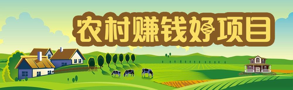 投资小生意好项目(投资做小生意做什么好)
