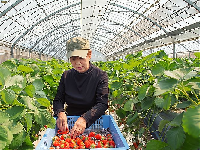 致富挣钱卖什么(致富挣钱卖什么好)