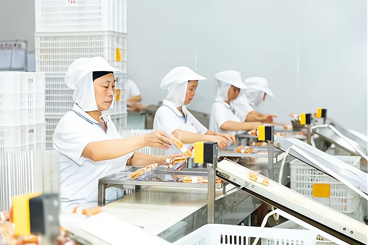 孟州食品加工：传统与创新的交融
