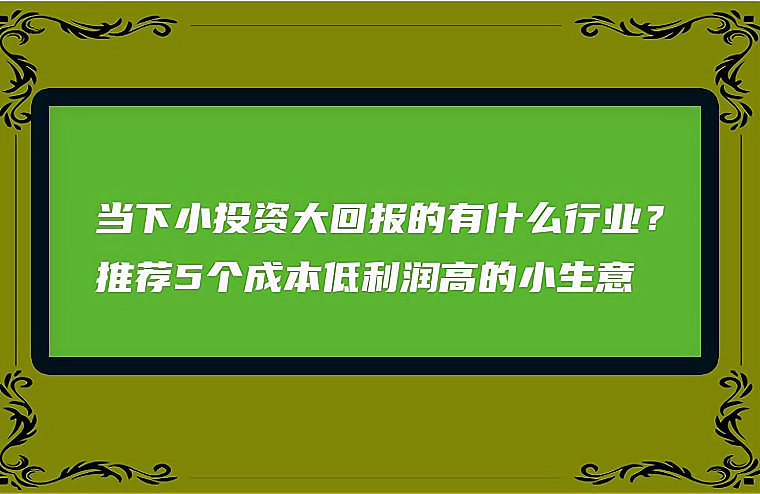 投资什么成本低收益高(投资什么成本低收益高赚钱)
