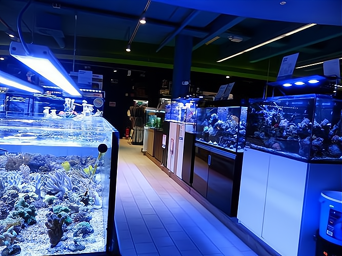 厦门水族店