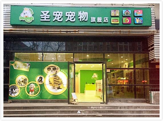 爬宠店开支项目全解析：揭秘创业新蓝海，轻松开启财富之门_加盟星百度招商加盟服务平台