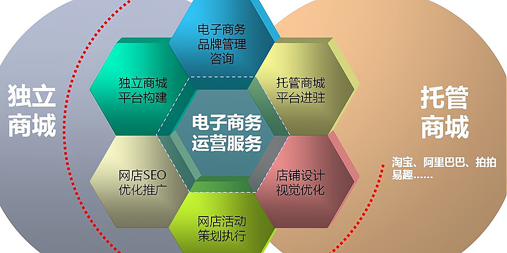 个人互联网创业项目点子有哪些类型(个人互联网创业项目点子有哪些类型的)