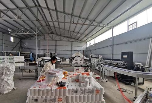 小型加工致富项目怎么样赚钱(小型加工致富项目,家庭致富小项目)