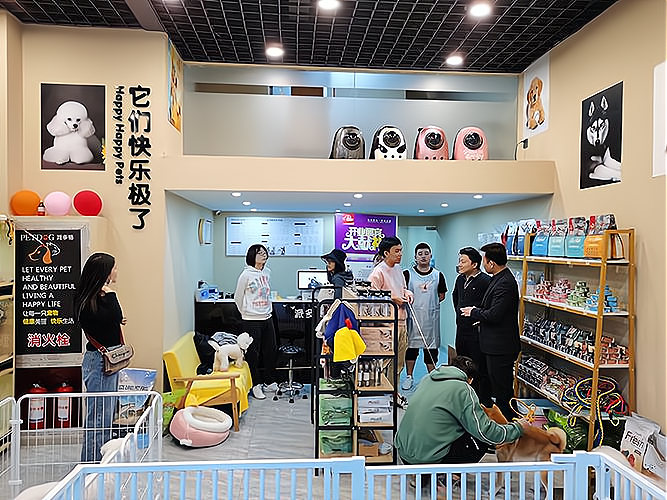 宠物生活越来越火，上海宠物用品批发迎来新机遇