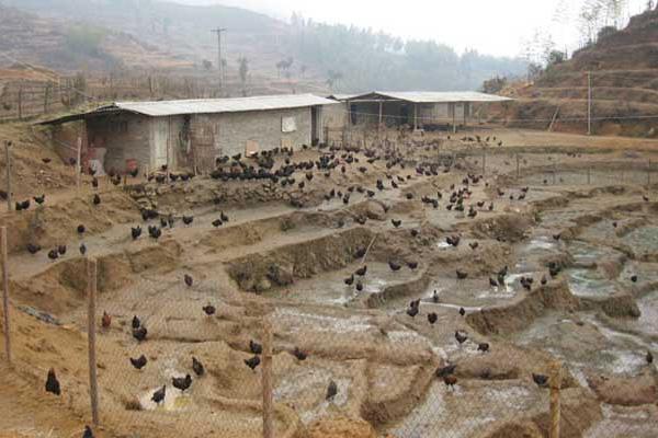 特种养殖业的发展趋势与挑战