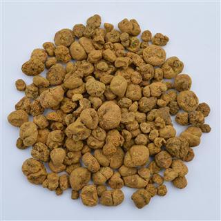 致富项目大全名称(致富项目大全名称有哪些)
