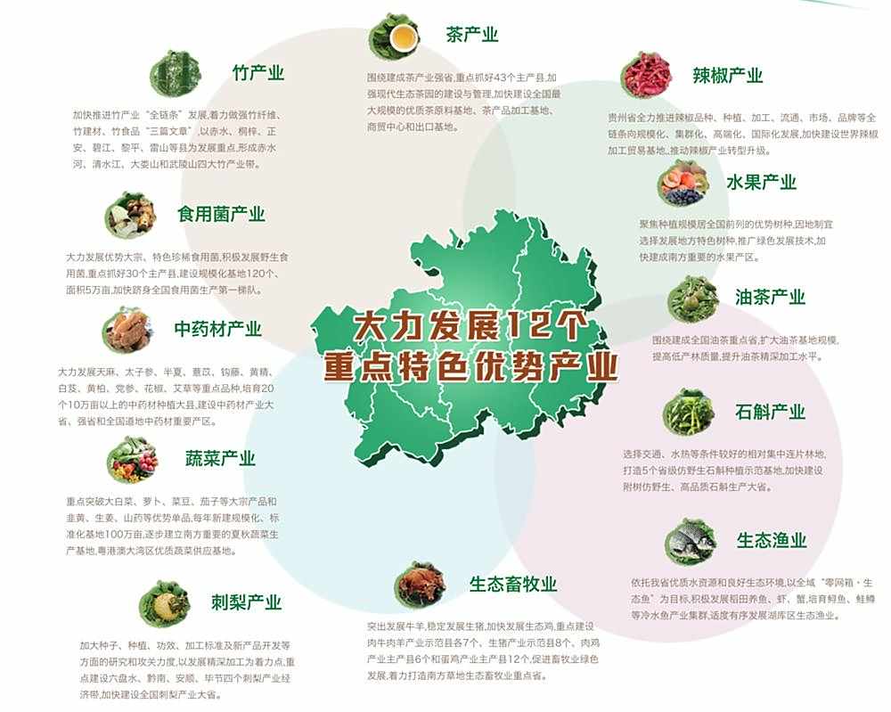 2020致富新项目新点子有哪些(2020致富新项目新点子有哪些呢)