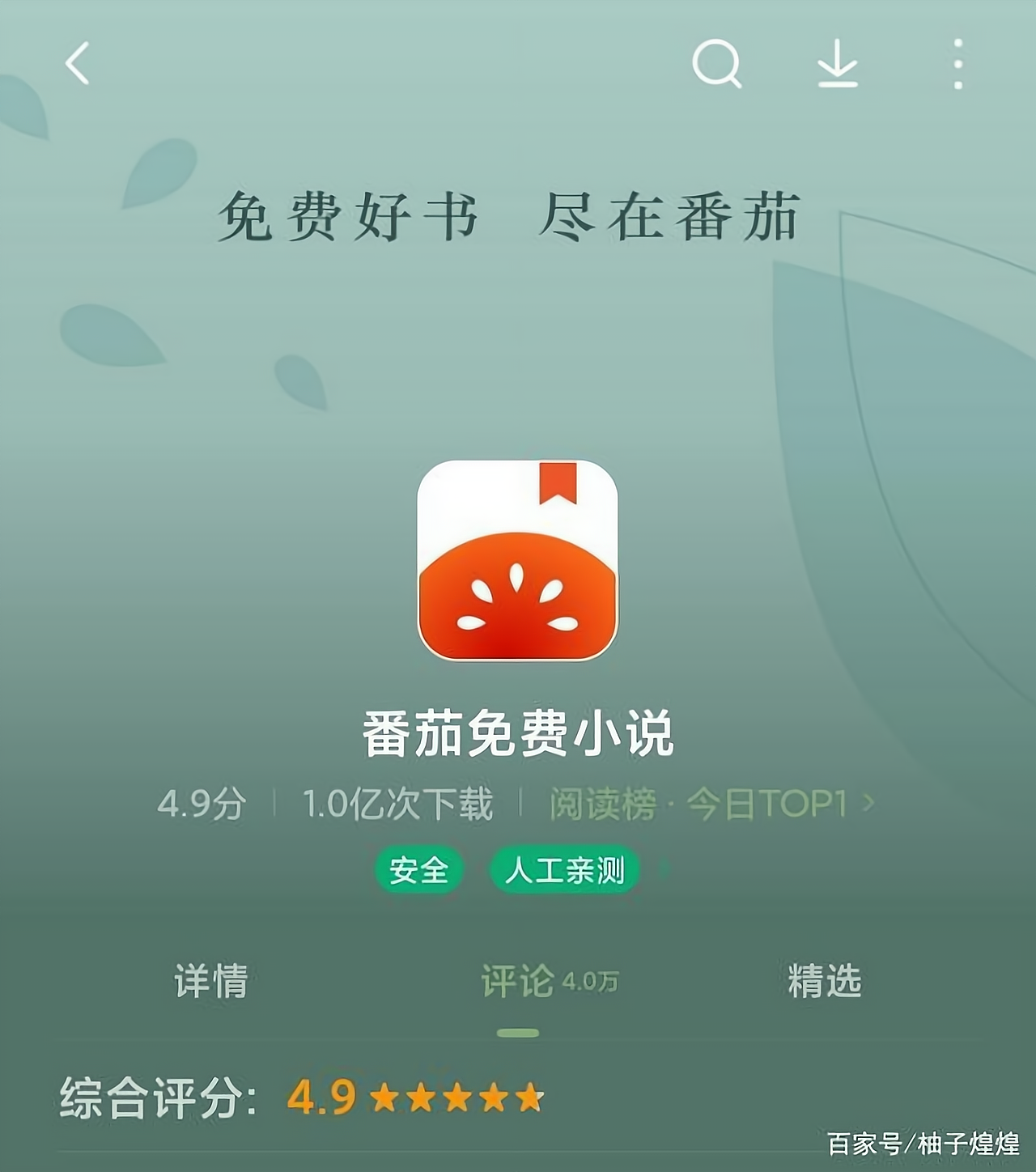 番茄小说挣钱是真的吗  第1张