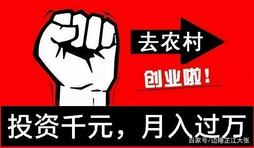 2020小本生意什么好做(2020年小本生意什么最赚钱)