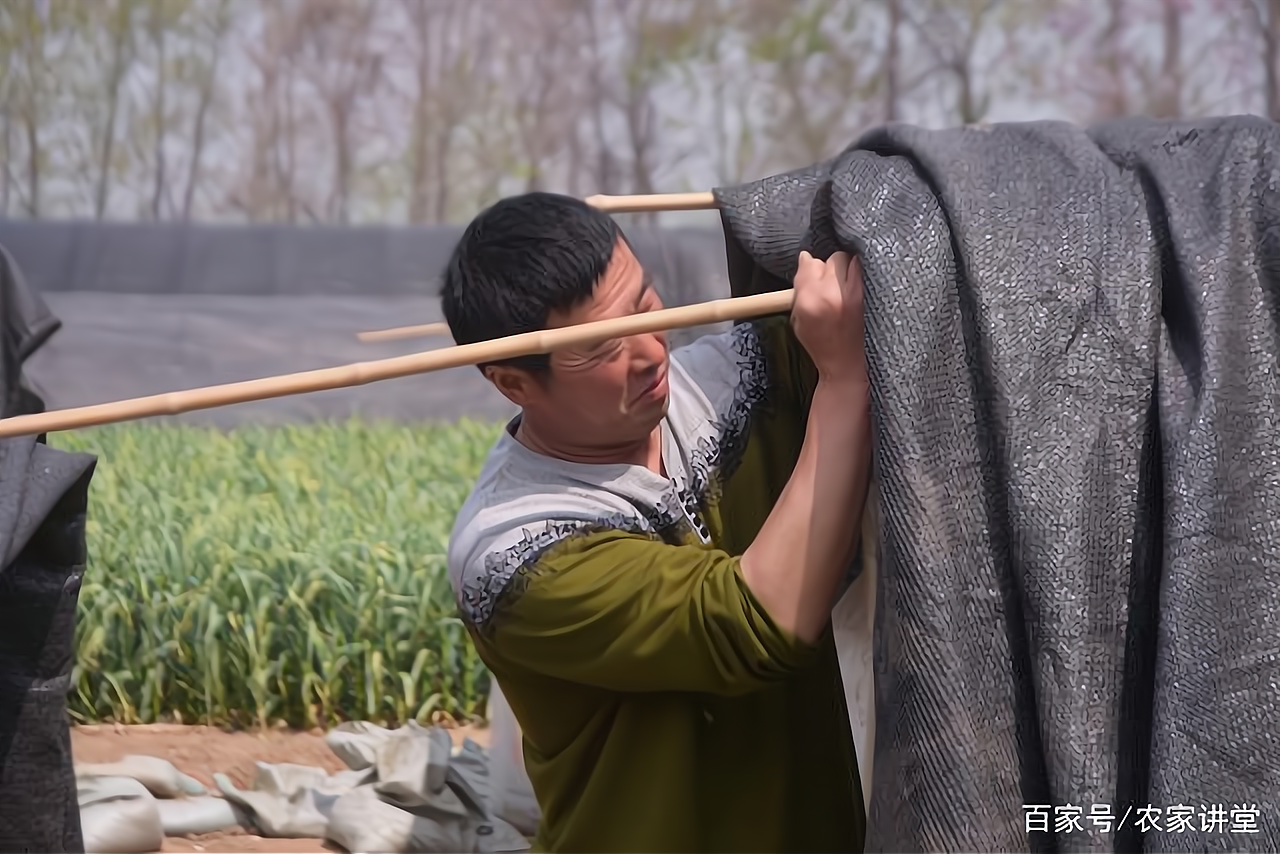 比打工强的小本生意农村(到底打工好还是做小本生意好)