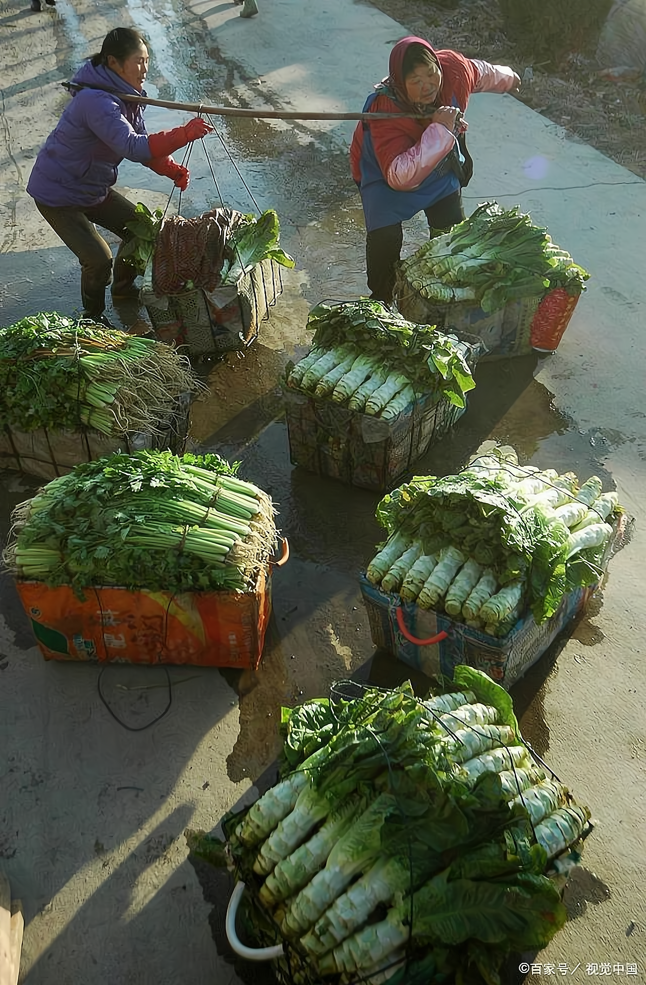 月入万元,摆地摊卖蔬菜,学问挺大,想赚钱要先了解怎么批发蔬菜