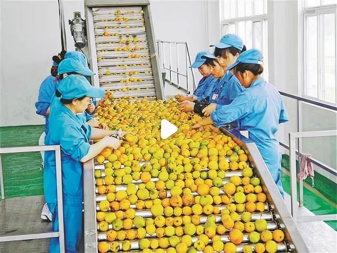 最新小型加工致富项目(18个小型加工致富项目)