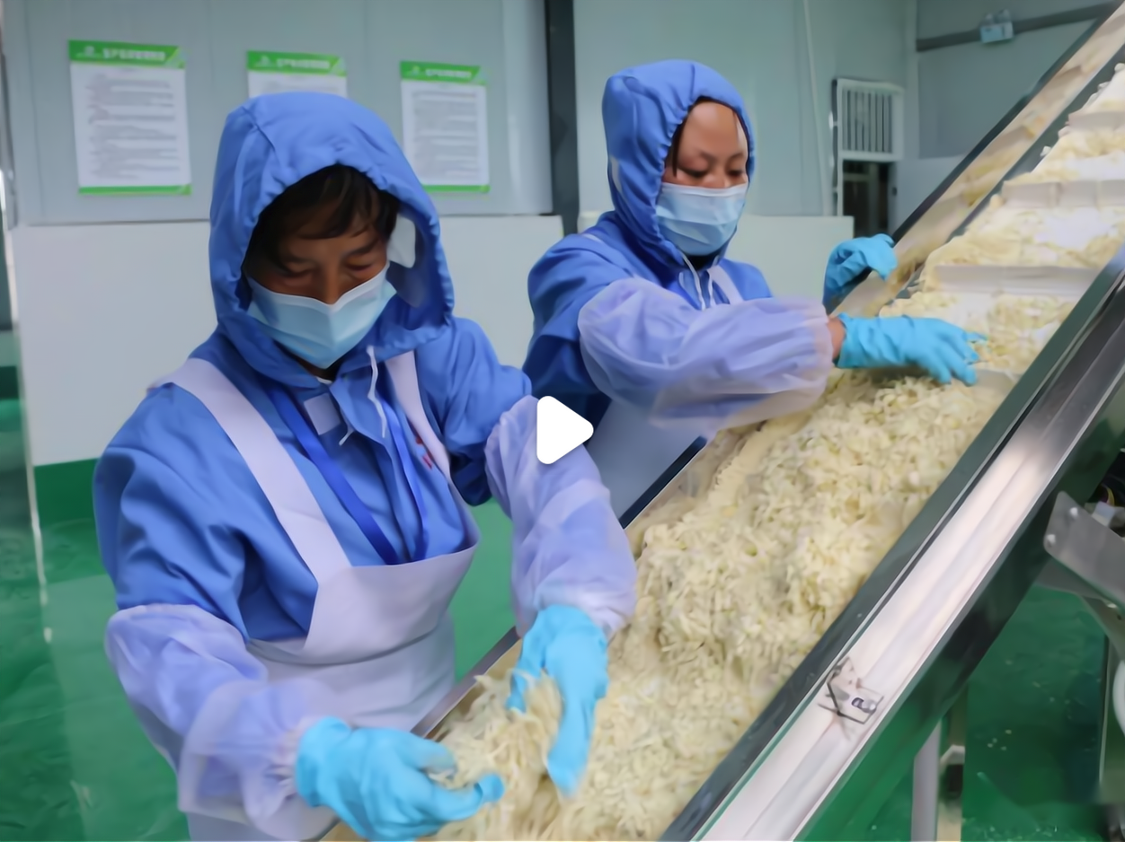 适合在家开的小型工厂(适合在家开的小型工厂有哪些)