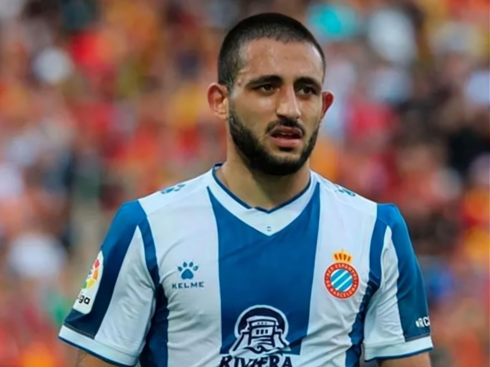 巴尔加斯加盟海港,包括以下几点资讯