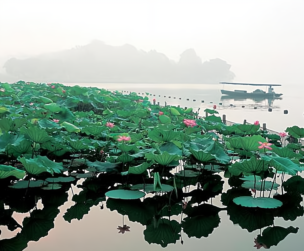 红莲湖高尔夫度假村图片