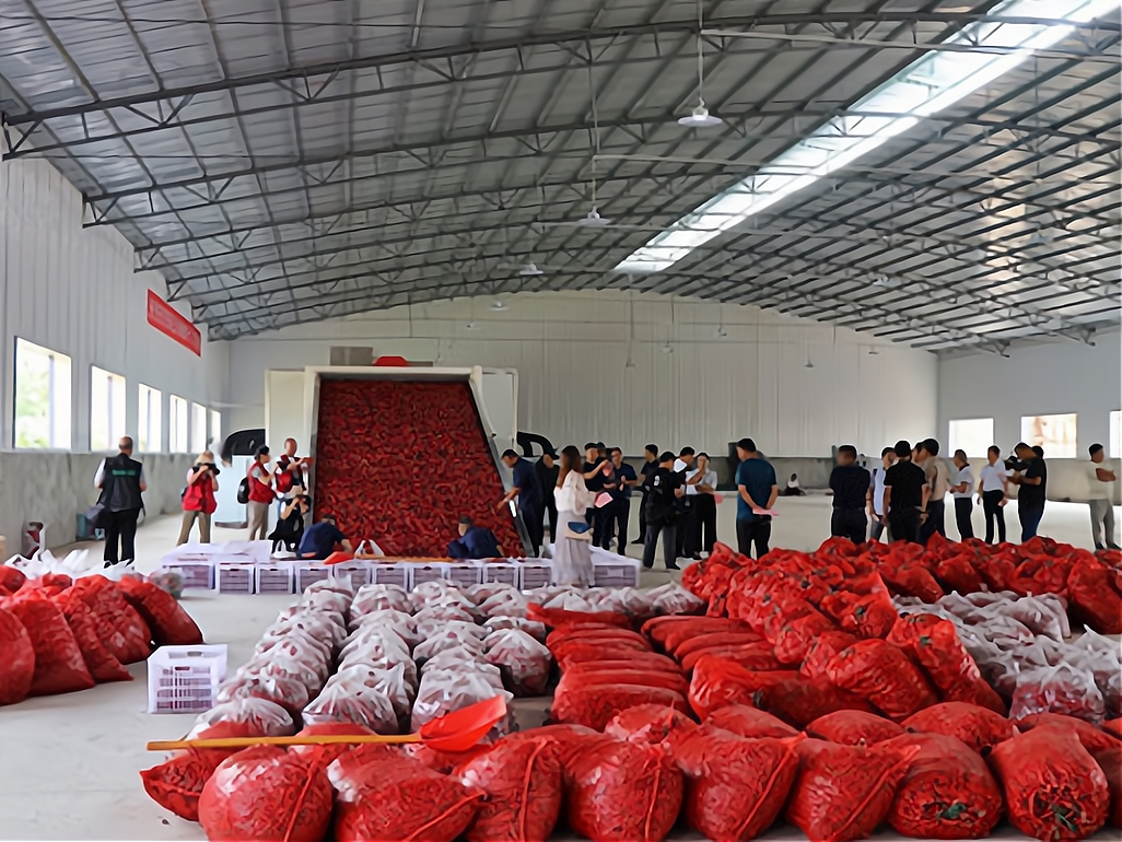 免费加盟办厂手工项目怎么样(免费加盟办厂手工项目怎么样啊)