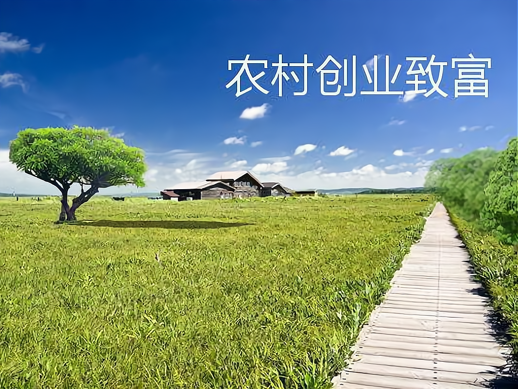 农村致富项目网(农村致富项目大全)