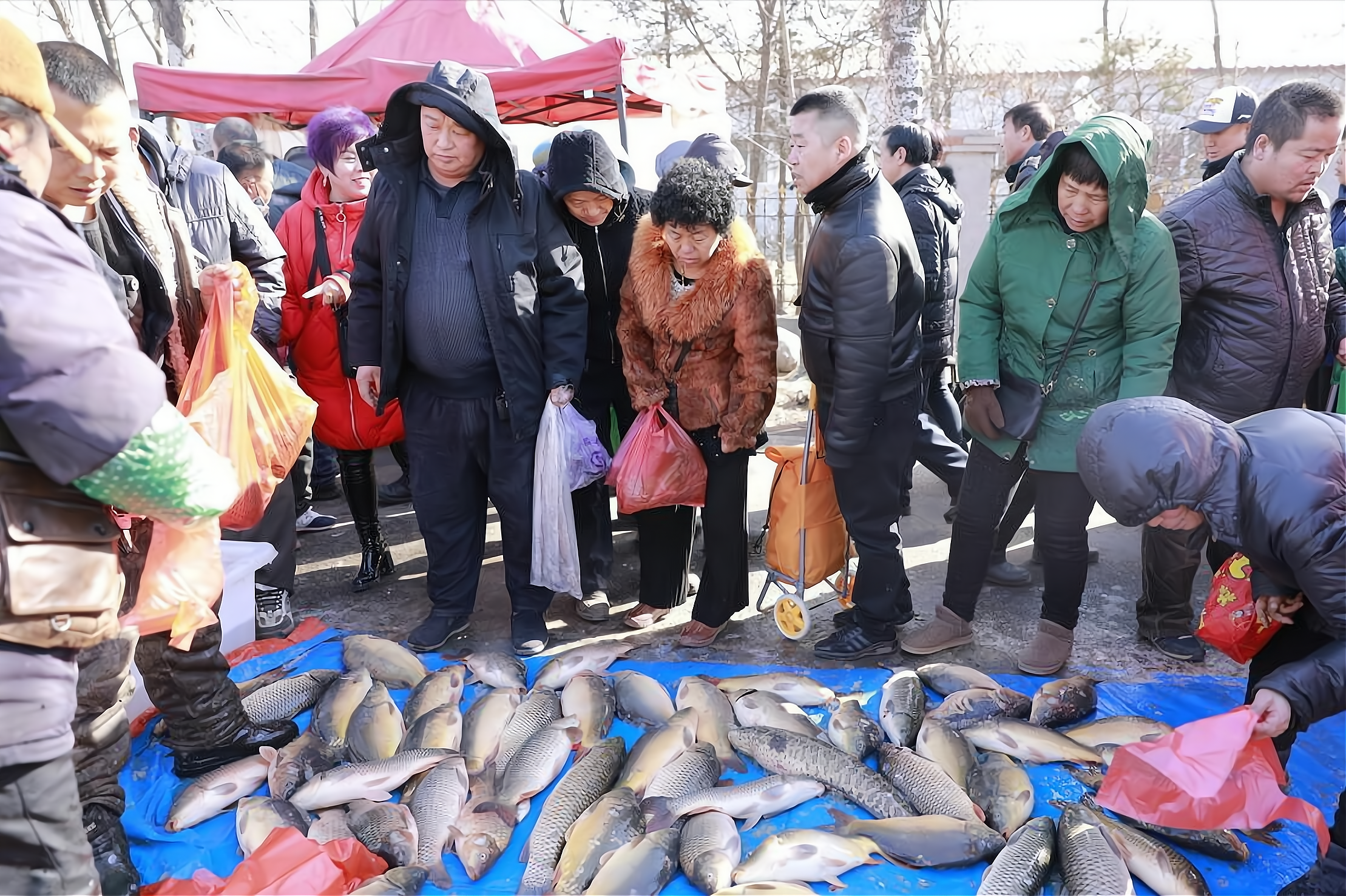 春节买鱼时,少买这5种鱼,可能含有重金属和甲醛,看完涨知识了
