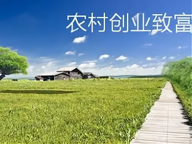 农村创业的好项目种植(农村创业的好项目种植业有哪些)