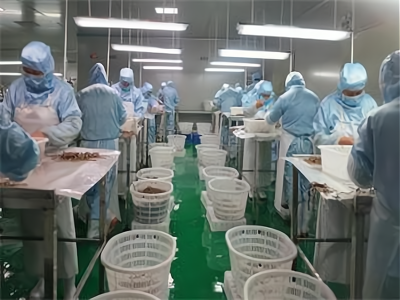 办厂子有啥好项目了(想办一个厂子有什么好推荐的吗?)