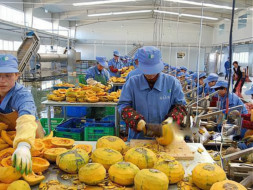 关于我想开个加工厂可以订单哪里找啊的信息