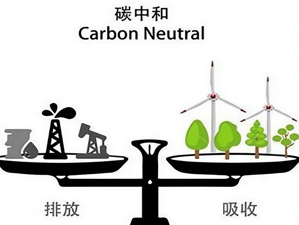 关于碳中和创业项目有哪些的信息