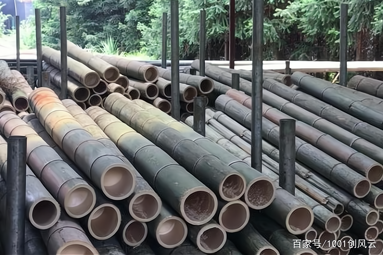 竹子加工创业项目(做竹子加工生意怎么样)